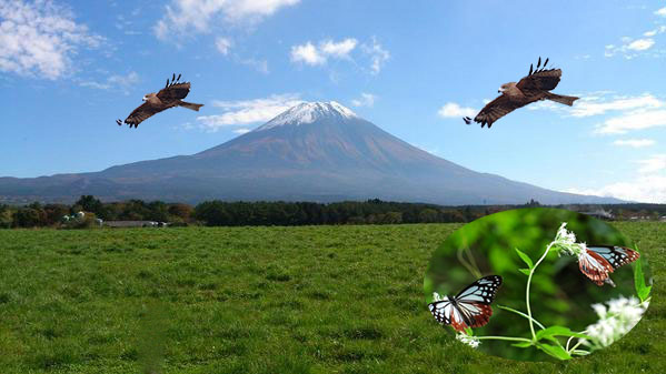 富士山